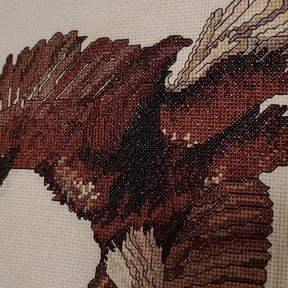 Vintage Flying Eagle Finished Cross Stitch Sampler - Picture 4 of 15
